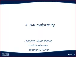 4: Neuroplasticity Cognitive Neuroscience