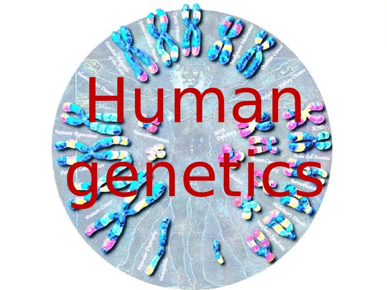 Human genetics 2 Human genetics