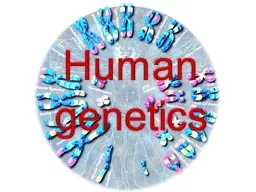 Human genetics 2 Human genetics
