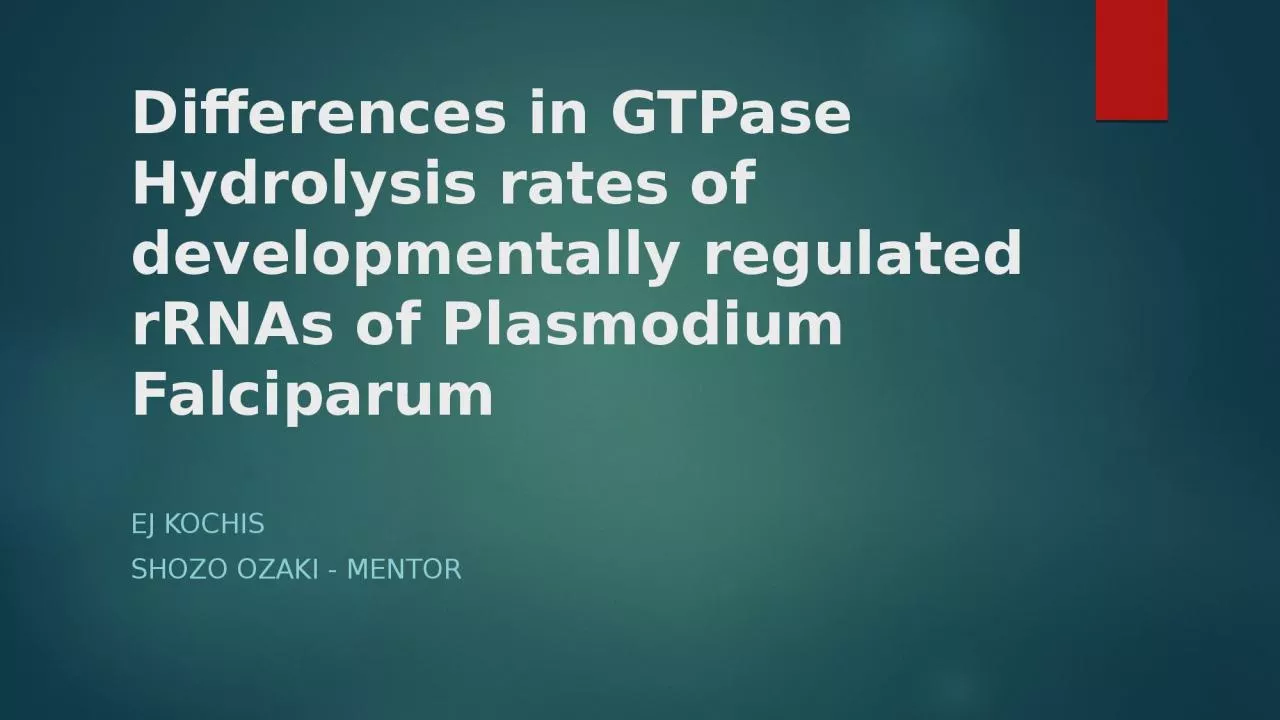 Differences in  GTPase  Hydrolysis rates of developmentally regulated