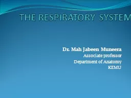 THE RESPIRATORY SYSTEM Dr.