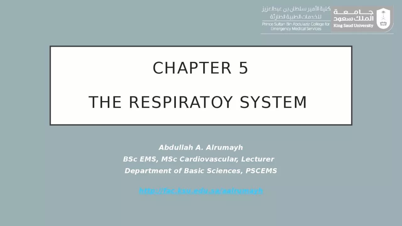 Chapter 5 The Respiratoy System