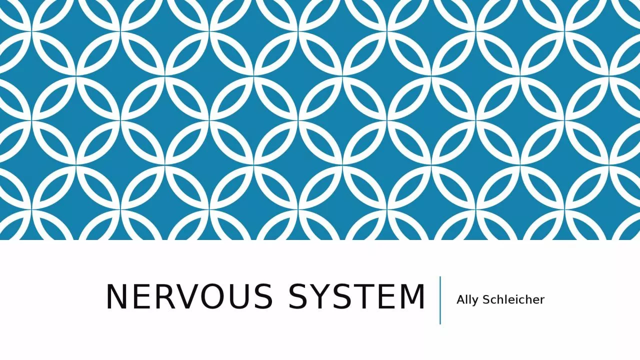 Nervous System Ally Schleicher