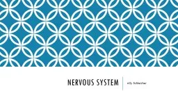 Nervous System Ally Schleicher