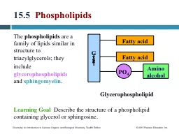 15.5   Phospholipids The