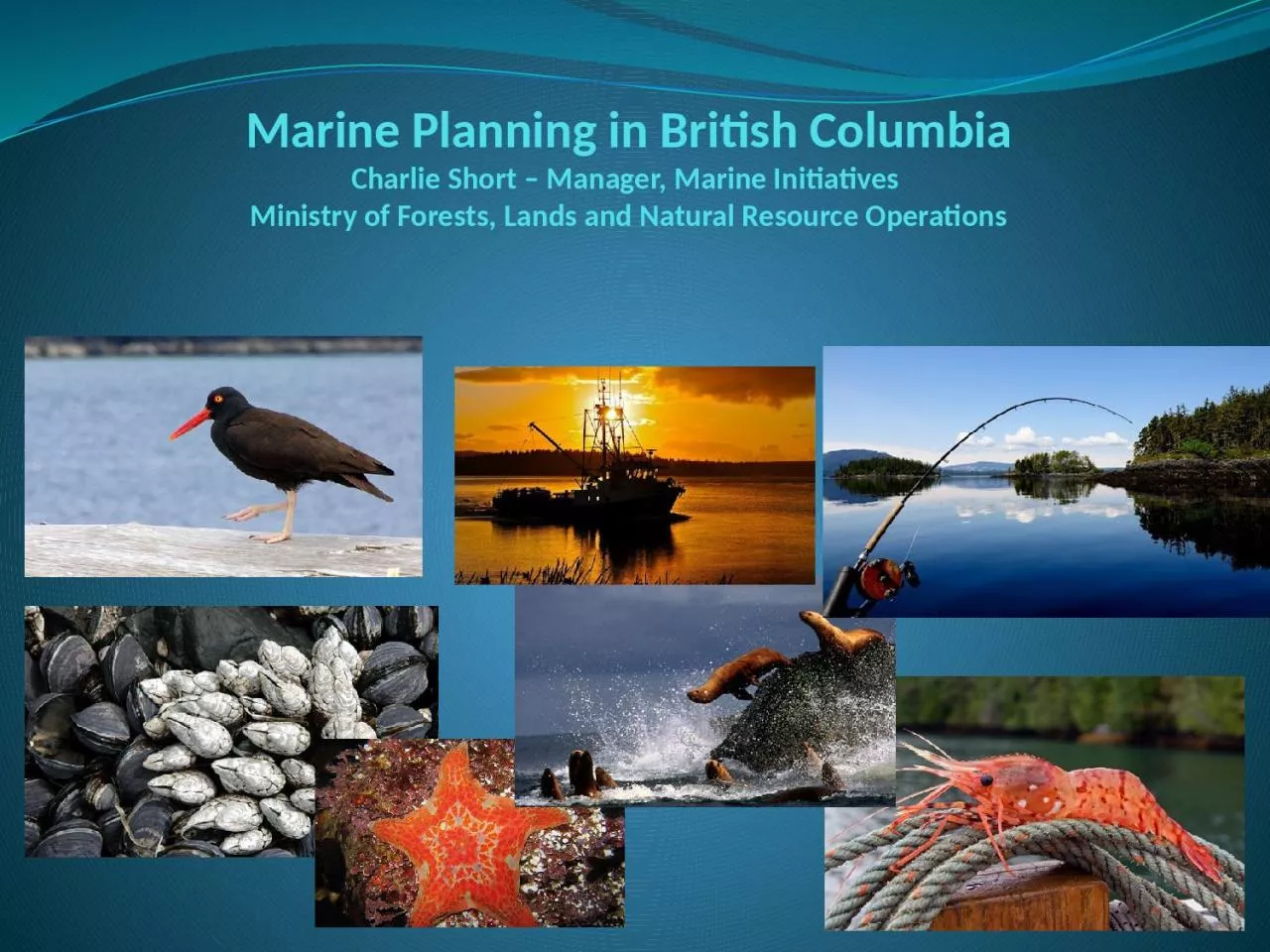 Marine Planning in British Columbia