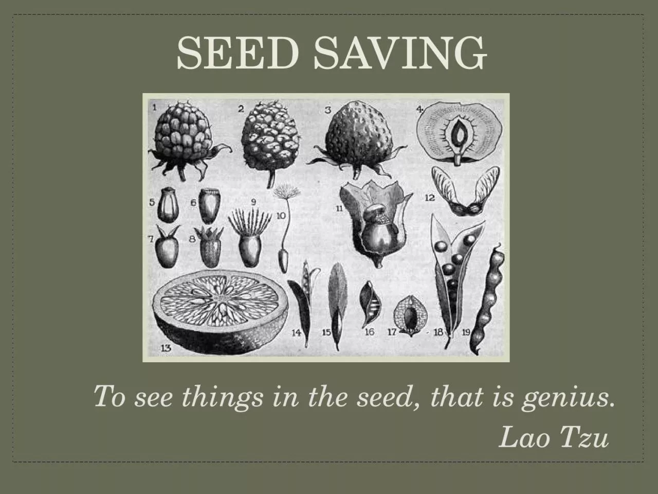 To see things in the seed, that is genius.