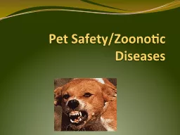 Pet Safety/Zoonotic Diseases