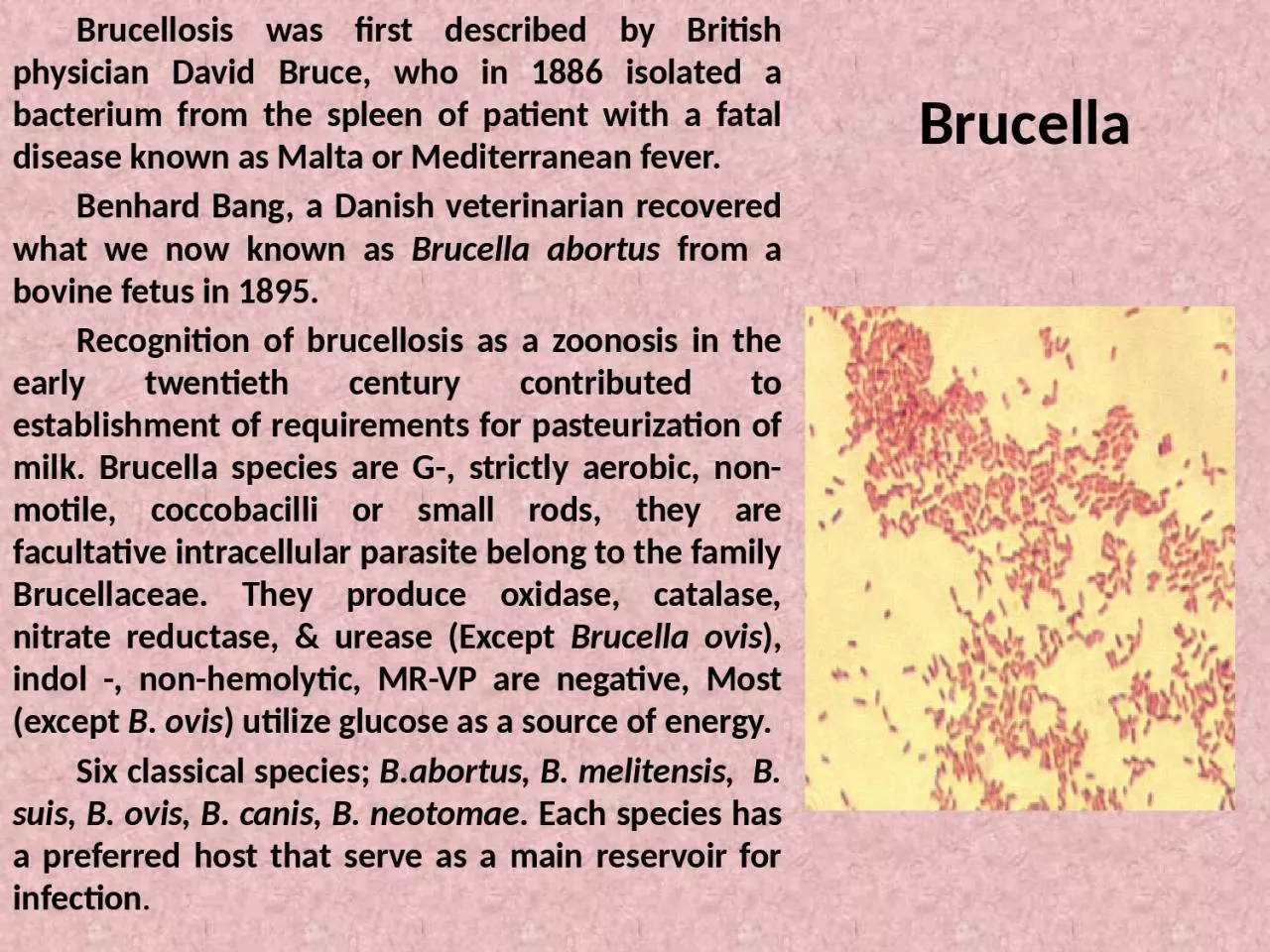 Brucella 	Brucellosis was first described by British physician David Bruce, who in 1886