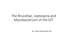 The  Brucellae ,   Leptospira and