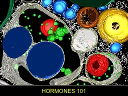 HORMONES 101 Thank you to Amy and QSXX