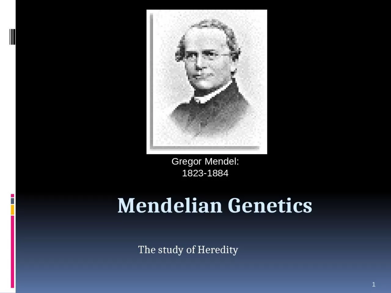 1 Mendelian  Genetics The study of Heredity