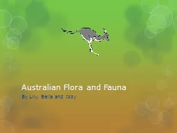 Australian Flora and Fauna