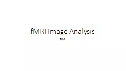 fMRI  Image  Analysis SPM