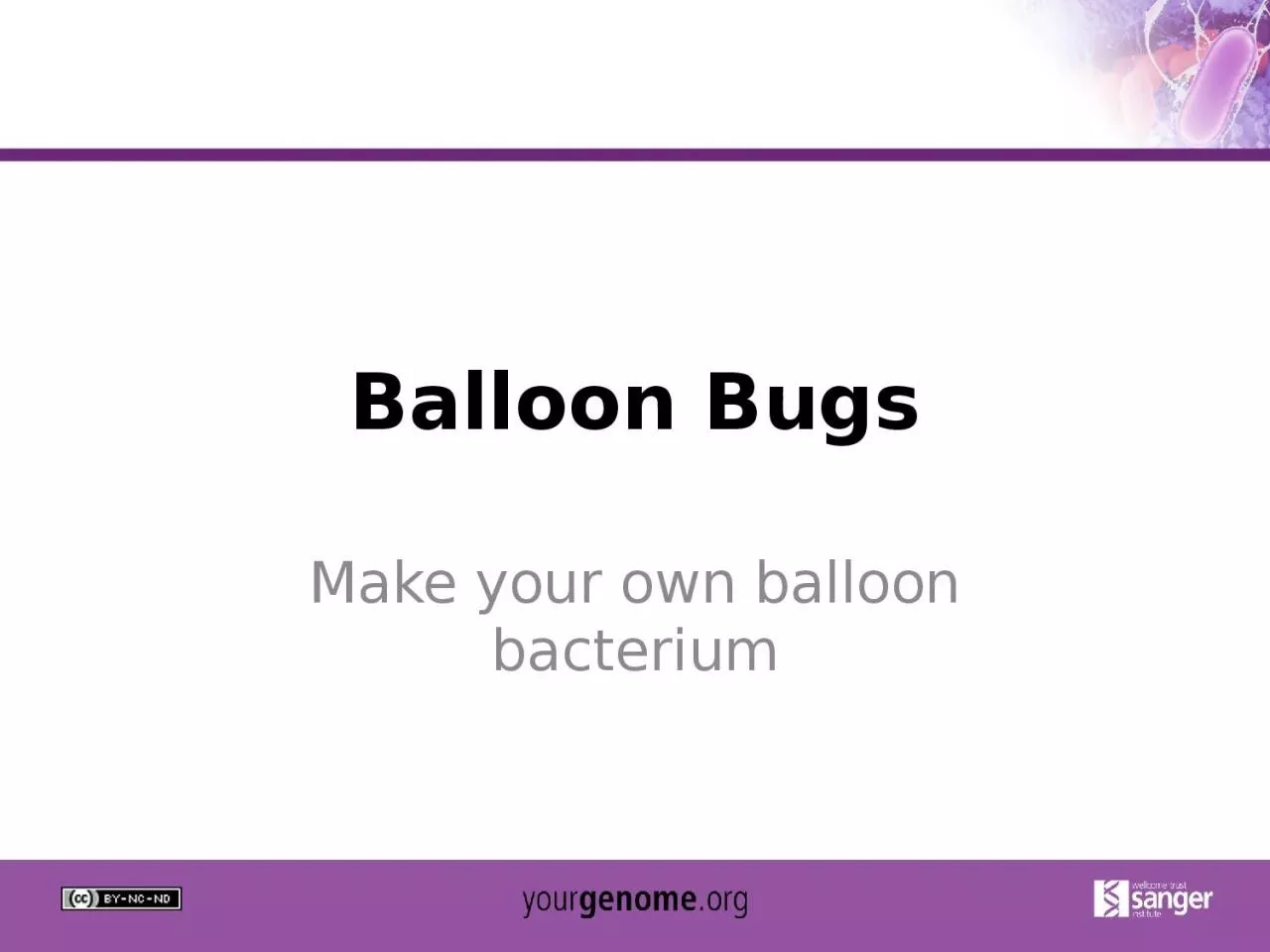 Balloon Bugs Make your own balloon bacterium
