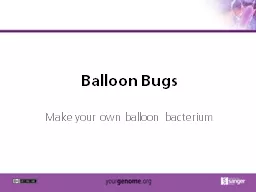 Balloon Bugs Make your own balloon bacterium