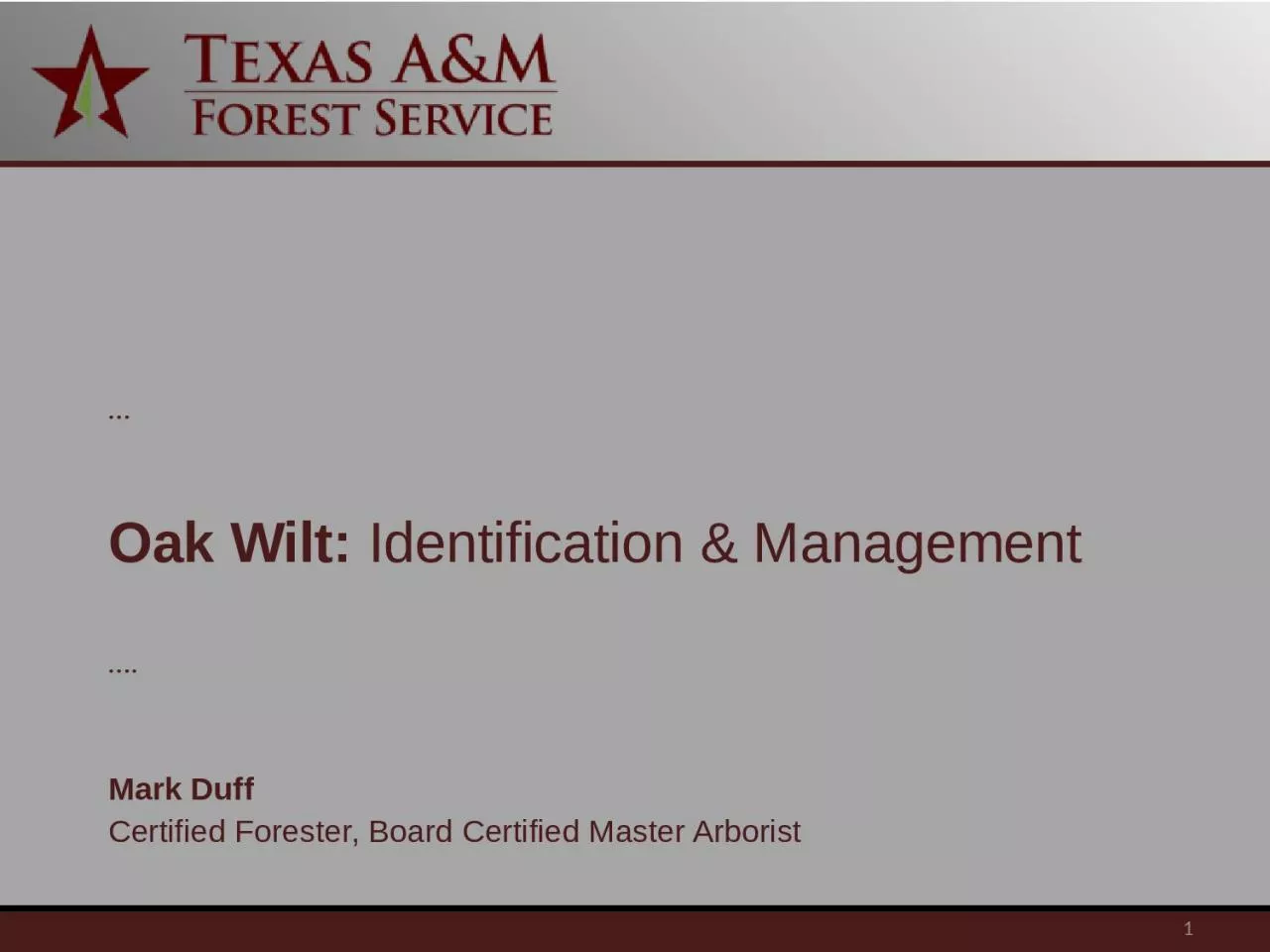 Oak Wilt:  Identification & Management