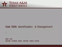 Oak Wilt:  Identification & Management