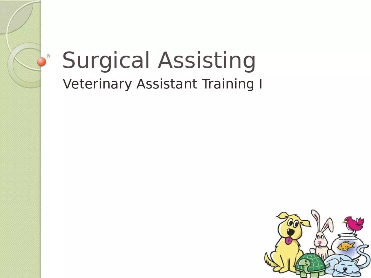 Surgical Assisting Veterinary Assistant Training I