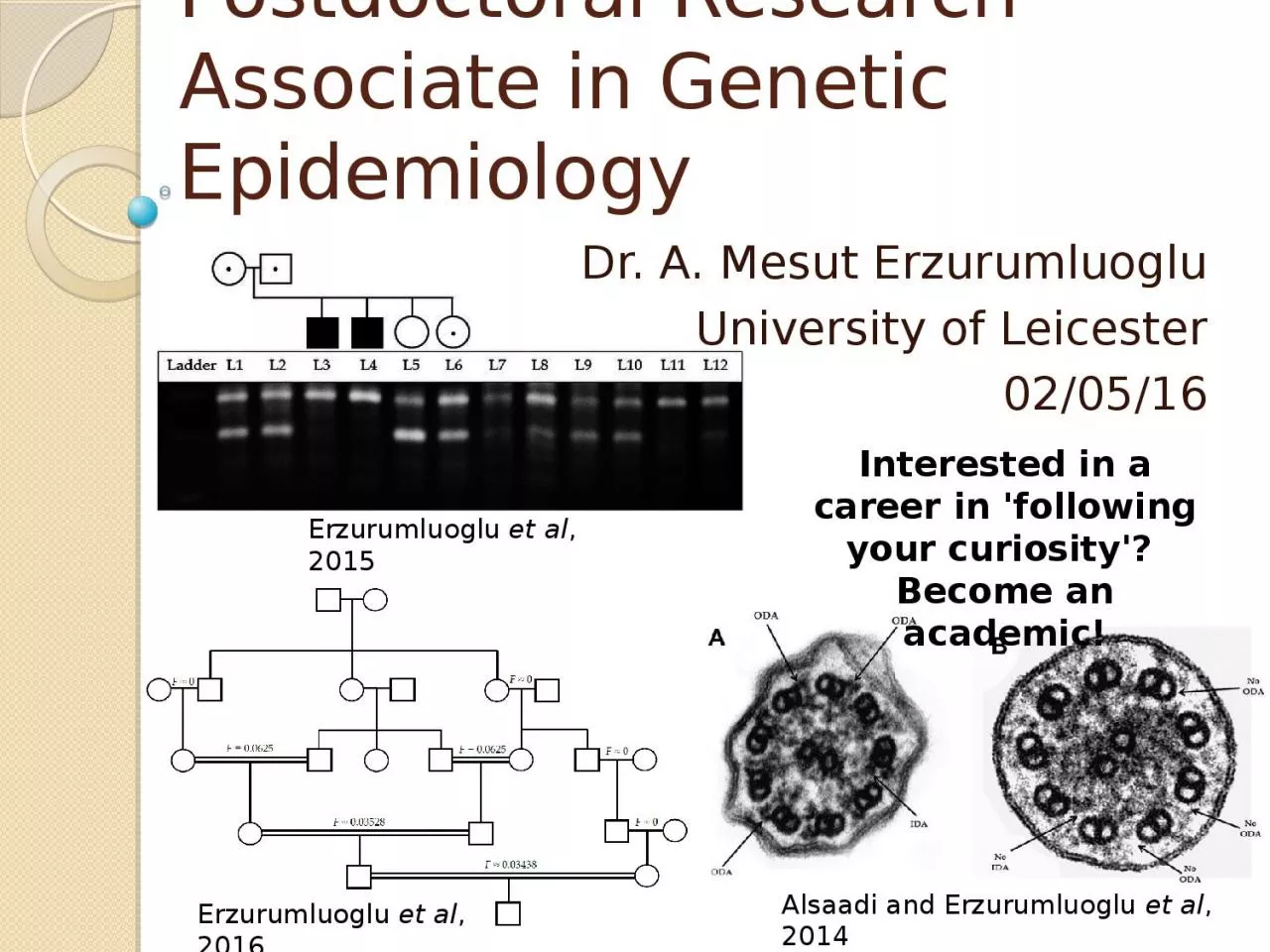 Postdoctoral Research Associate in Genetic Epidemiology