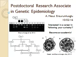 Postdoctoral Research Associate in Genetic Epidemiology