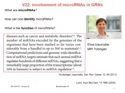 V16: involvement of microRNAs in GRNs