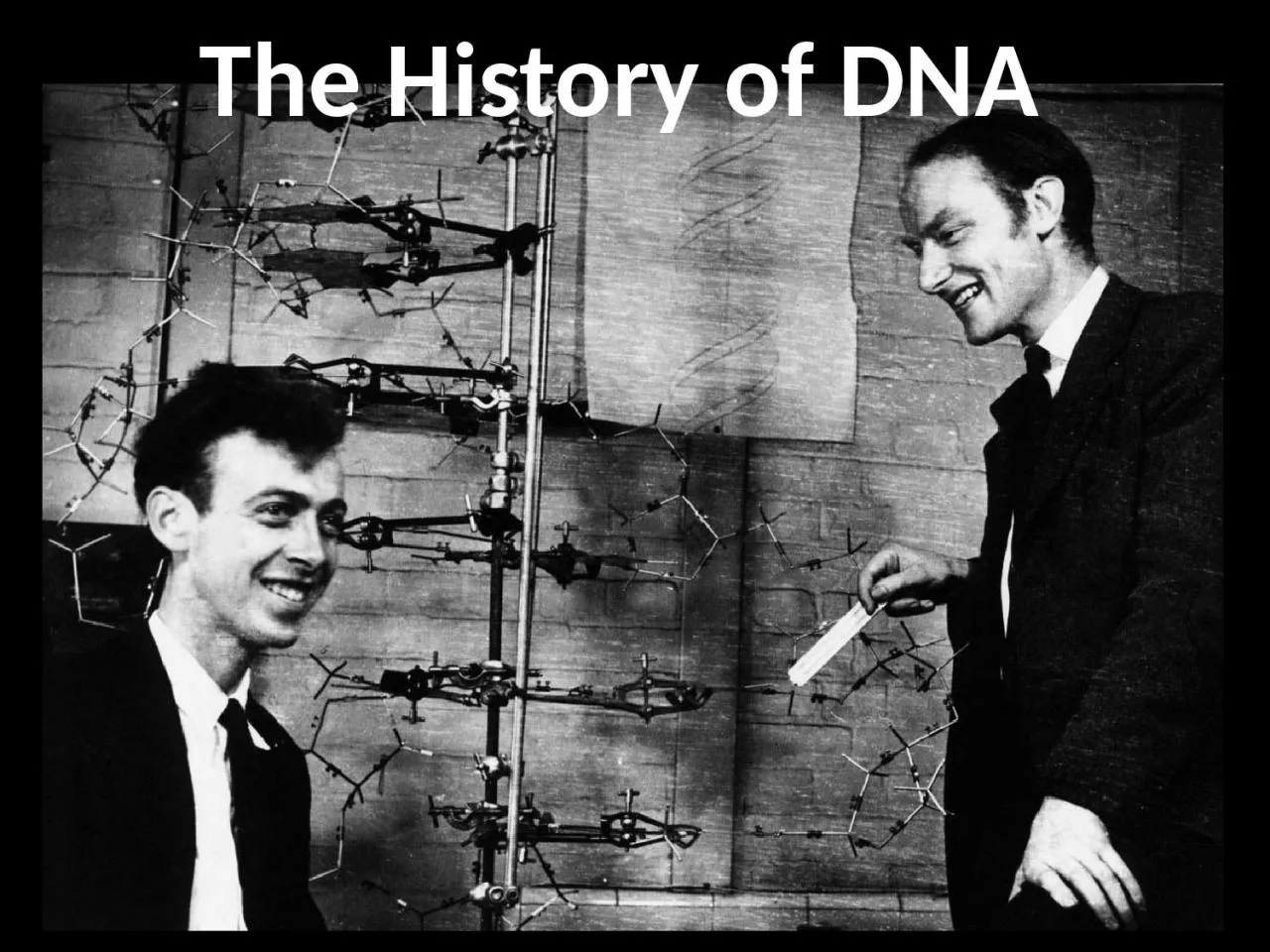 The History  of  DNA 2/18/2014