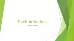 Torch infections  Rina Karborani