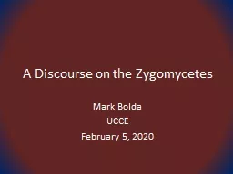 A Discourse on the  Zygomycetes