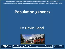 Population genetics Dr Gavin Band
