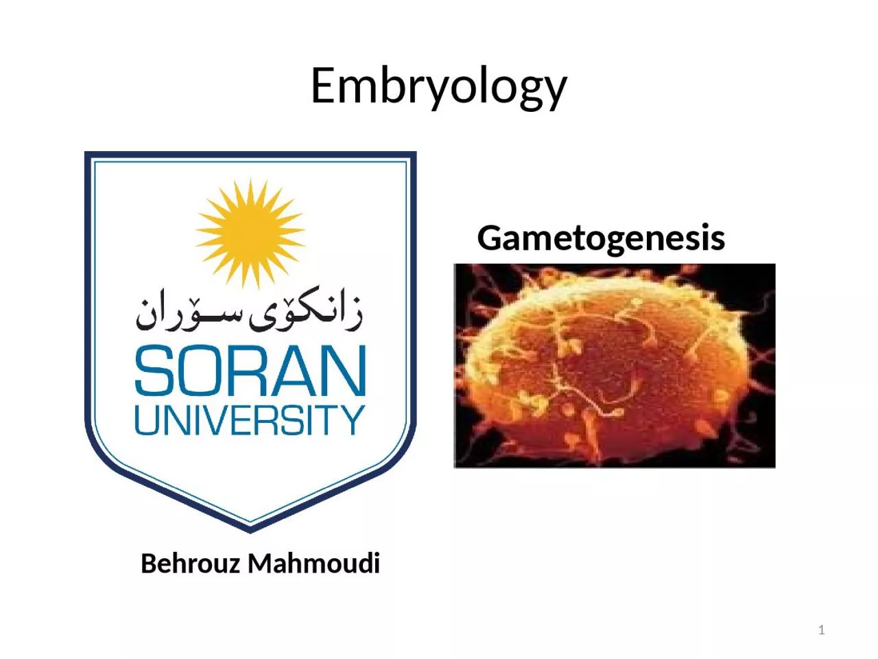 Embryology Behrouz   Mahmoudi