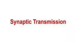 Synaptic Transmission Functional anatomy: