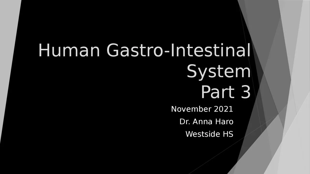 Human Gastro-Intestinal System