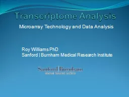 Transcriptome  Analysis Microarray Technology