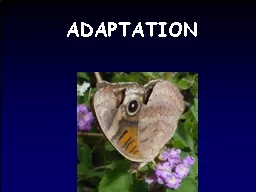 ADAPTATION Terms related to Adaptation