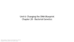 Unit 6: Changing the DNA Blueprint