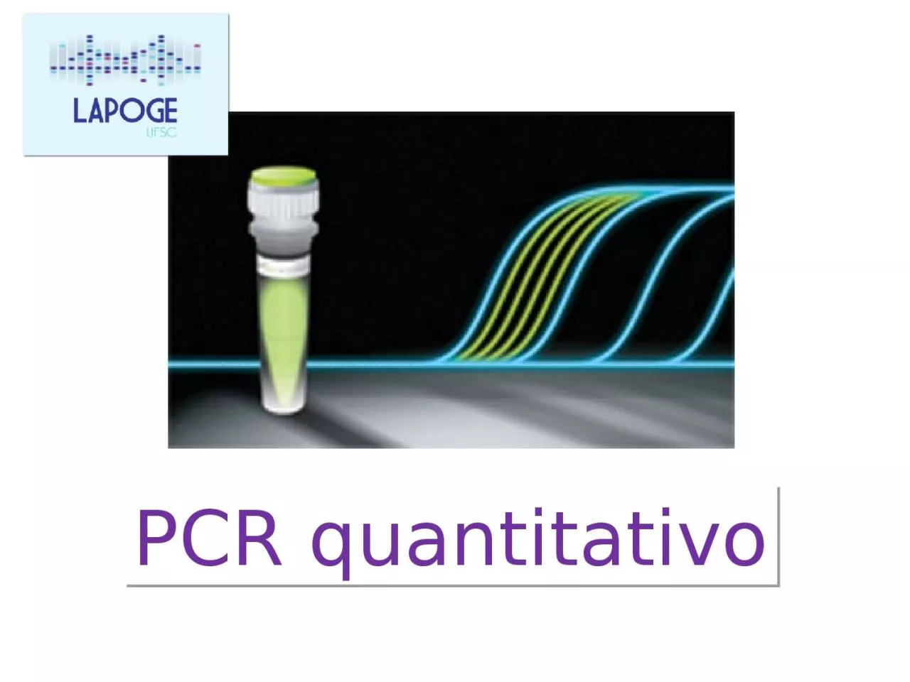 PCR quantitativo What is Real-Time PCR?