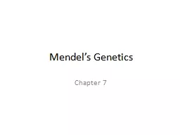 Mendel’s Genetics Chapter 7