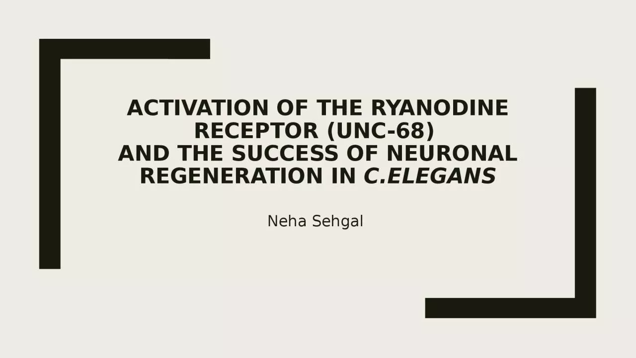 Activation of the Ryanodine Receptor (UNC-68)