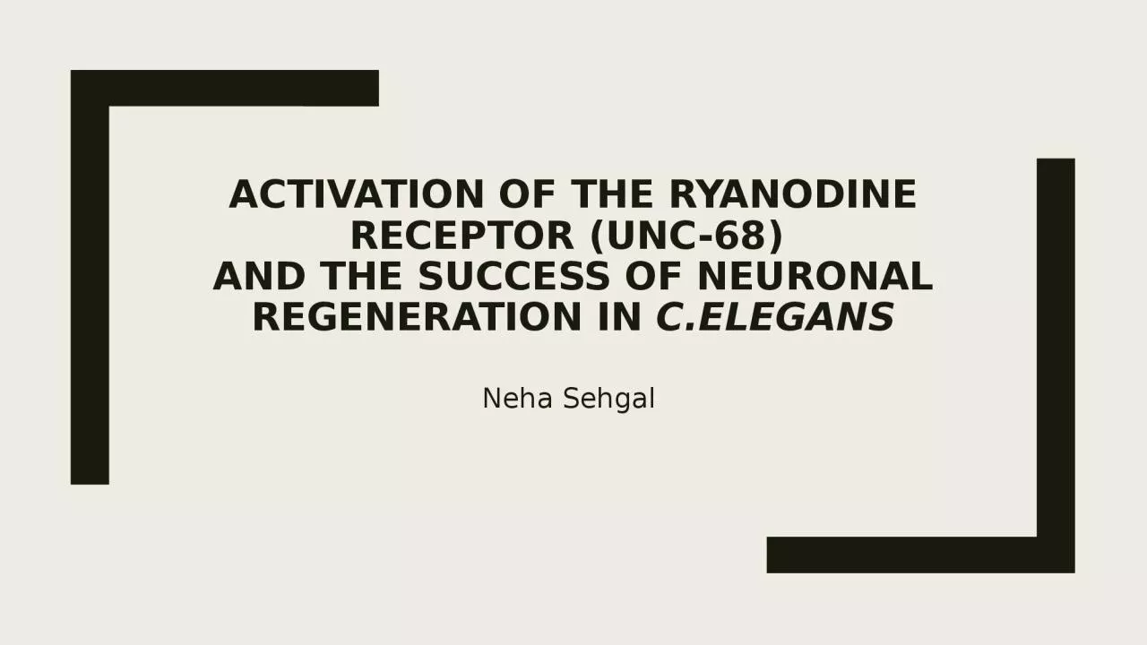 PPT-Activation of the Ryanodine Receptor (UNC-68)