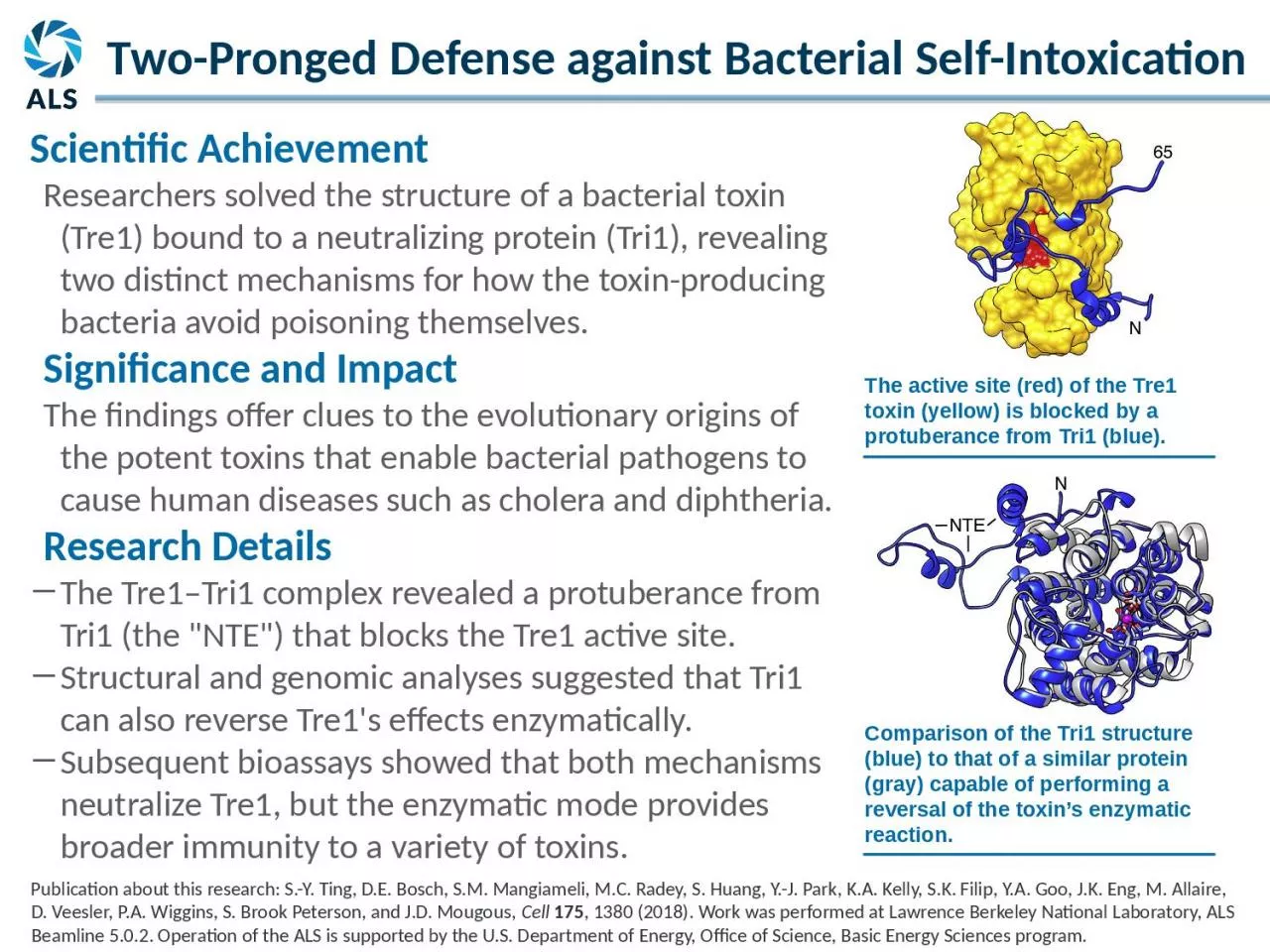 Scientific Achievement Researchers solved the structure of a bacterial toxin (Tre1) bound