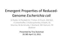 Emergent Properties of Reduced-Genome