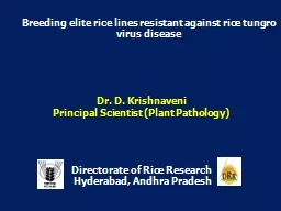 Dr. D.  Krishnaveni Principal Scientist (Plant Pathology)