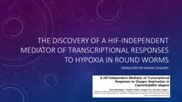 The discovery of a  hif -independent mediator of transcriptional responses to hypoxia in round worm