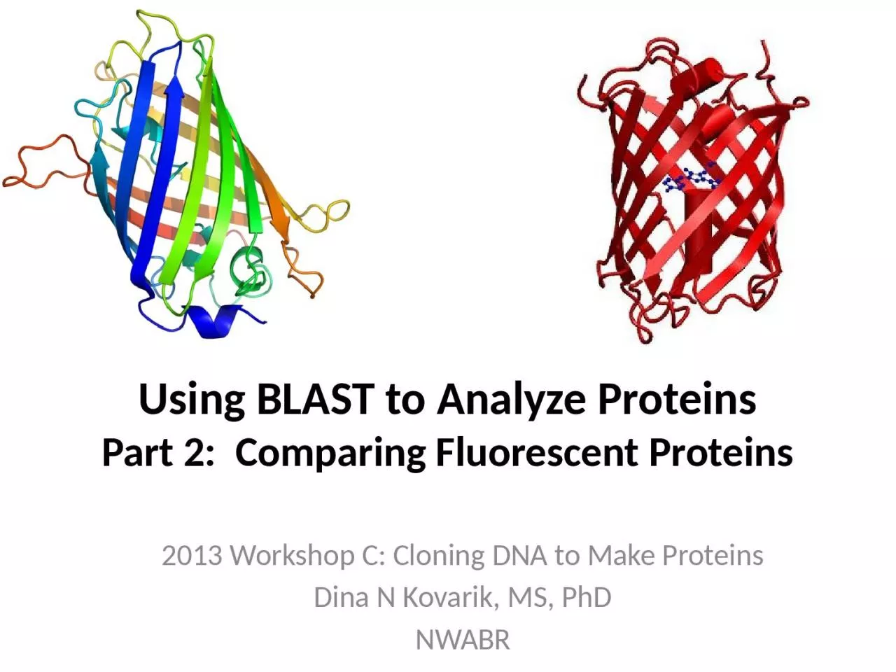 Using BLAST to Analyze Proteins