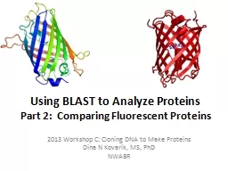Using BLAST to Analyze Proteins