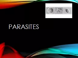 Parasites Vocabulary Medical parasitology: