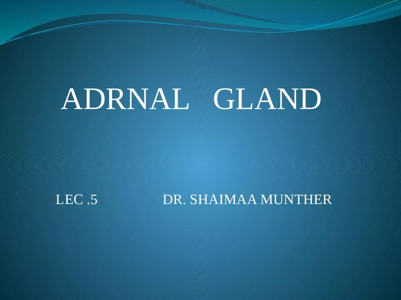 ADRNAL   GLAND  LEC .5                  DR. SHAIMAA MUNTHER