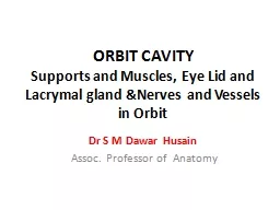 ORBIT CAVITY Supports and Muscles, Eye Lid and