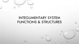 Integumentary System Functions & structures